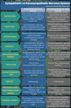 an info sheet describing the different types of neuros and how they are used