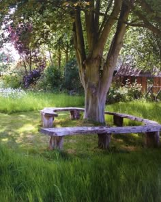 two wooden benches sitting under a tree in the grass