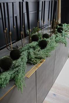 a long row of green plants on top of a counter