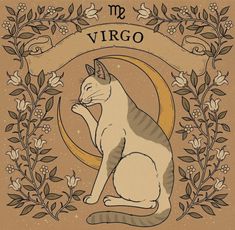 a cat sitting on top of a wooden table next to a sign that says mr virgo