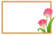 two pink tulips in front of an empty wooden frame on a white background