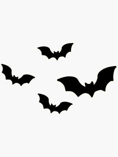 three bats are flying in the sky