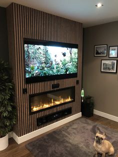 a dog sitting in front of a flat screen tv on a wall mounted above a fireplace