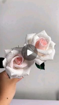 two white roses are being held up by someone's hand in front of the camera