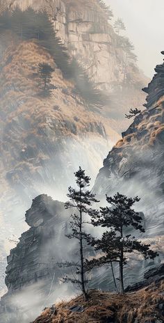 the mountains are covered in fog and mist as trees stand on top of them,