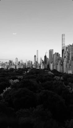 black and white photograph of city skyline with trees in foreground, new york city