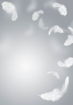 white feathers flying in the air on a gray background