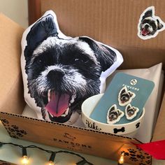 a box filled with decorative items and a dog pillow