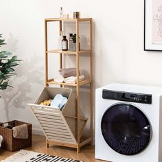 a washer sitting next to a dryer in a room with a potted plant