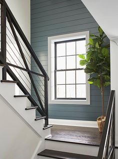 the stairs lead up to an open window and potted plant on the far wall