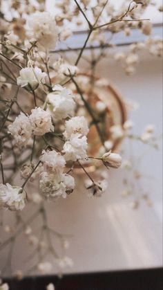 some white flowers are in front of a wall with a clock on it's side