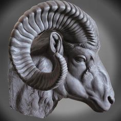 a ram statue is shown against a gray background with the head turned to look like it's looking at something