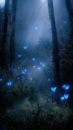 many blue butterflies are flying in the dark forest