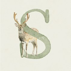 a watercolor painting of a deer with the letter s in it's antlers