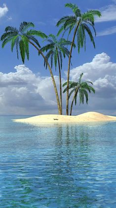 two palm trees on an island in the ocean