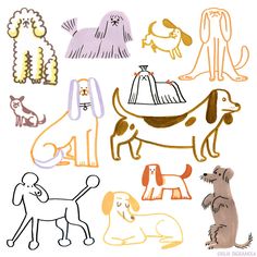 an image of dogs that are drawn on paper