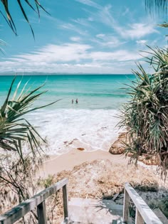 people are swimming in the ocean on a sunny day at the beach with palm trees