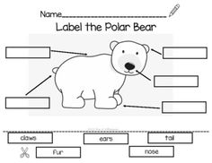 a polar bear worksheet with labels for labeling the parts of the animal's body