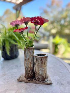 two vases with flowers in them sitting on a table next to some potted plants