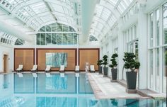 an indoor swimming pool surrounded by large windows and potted plants on either side of the pool