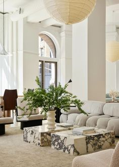 a living room with couches, tables and plants in the middle of the room