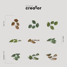 several different types of leaves are shown in this graphic art work, with the words creater above them