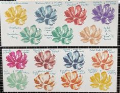 four different colored flowers are shown in this drawing class work on watercolor paper, and each flower has its own name