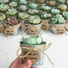 a hand is holding a small tin with succulents in it that say thank you for coming