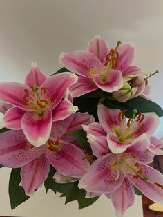 some pink flowers are in a glass vase