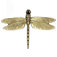 a gold dragonfly brooch with black accents on it's wings and legs