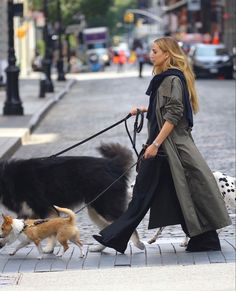 a woman walking two dogs on a city street