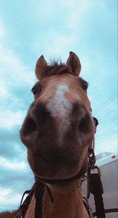 a close up of a horse's face with clouds in the sky behind it