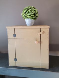 a potted plant sitting on top of a wooden cabinet next to a gray wall