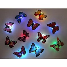 the light up butterflies are all different colors and sizes, but one is not very colorful