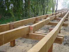 several wooden benches sitting in the middle of a forest filled with lots of dirt and trees