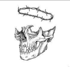 a drawing of a skull with barbed wire above it