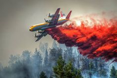 Wild Eyes Photography This was taken just outside of Nelson, BC. This is the Sitkum Creek fire. Lockheed Electra, Wildland Firefighting, California Wildfires, Train Truck, Fire Fighters, Fire Prevention