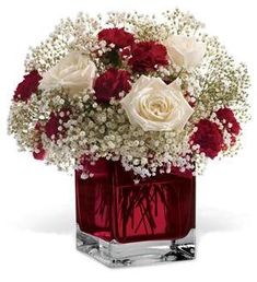 red and white flowers in a square glass vase on a white background, with baby's breath