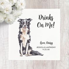 a watercolor drawing of a border collie dog with the words drinks on me