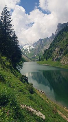 a mountain lake surrounded by green grass and trees