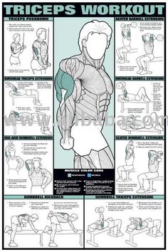 a poster with instructions on how to do the triceps workout