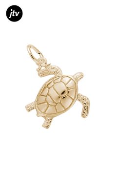 14K Yellow Gold Sea Turtle Charm. Measures approximately 17.83mm x 17.01mm 2.87g Yellow Pearl, Turtle Charm, Necklace Extender, Yellow Gemstones, Mixed Metal Jewelry, Floral Jewellery, Cross Jewelry, Pearl Color, Diamond Bracelets