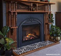 a living room with a fire place and potted plants on the fireplace mantel