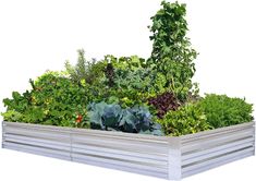 an assortment of vegetables are in a raised garden bed with white slats on the sides