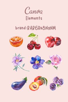 watercolor fruits and vegetables on a pink background with the words canva elements brand abebransmom