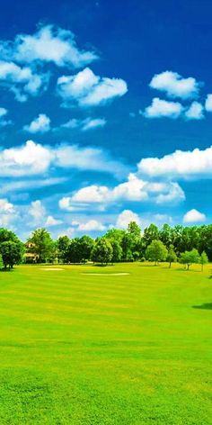 a green field with trees and clouds in the sky