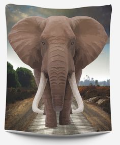 an elephant standing on the side of a road with trees and sky in the background