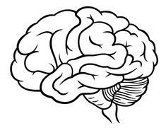 a black and white drawing of a human brain with the top part of it's head