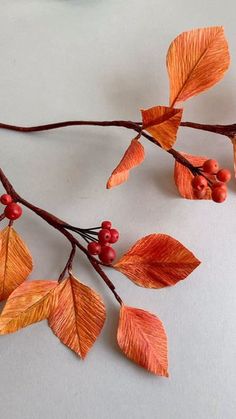 an orange branch with red berries on it