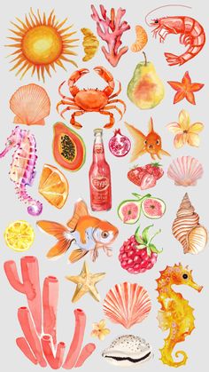 watercolor painting of sea animals and seashells